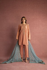 1 Piece Net Embroidered (FH0003)